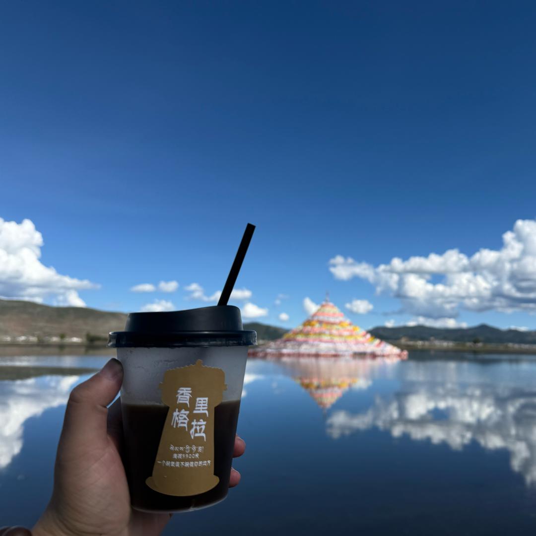 金铲铲巡山大王