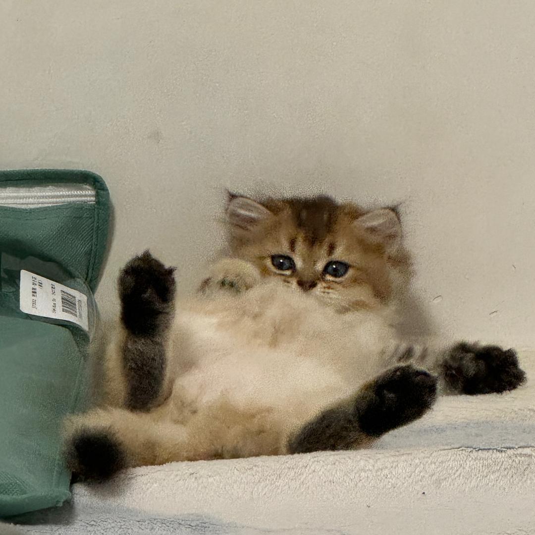 C尤呐呐