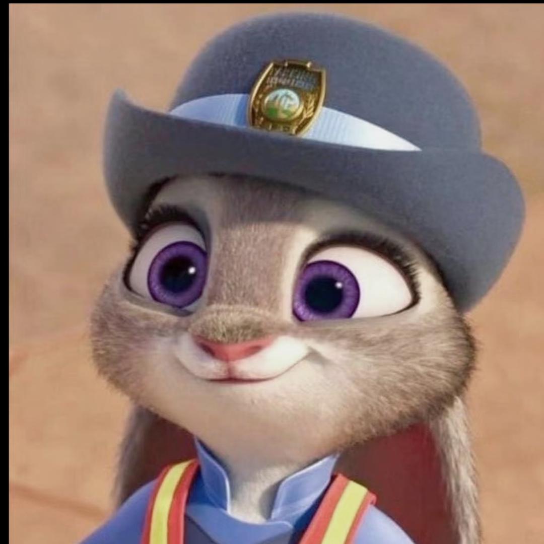 兔子警官