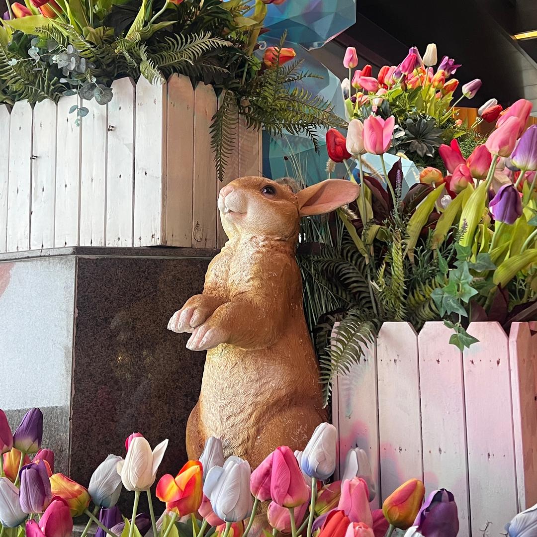 马桶边的保安队长