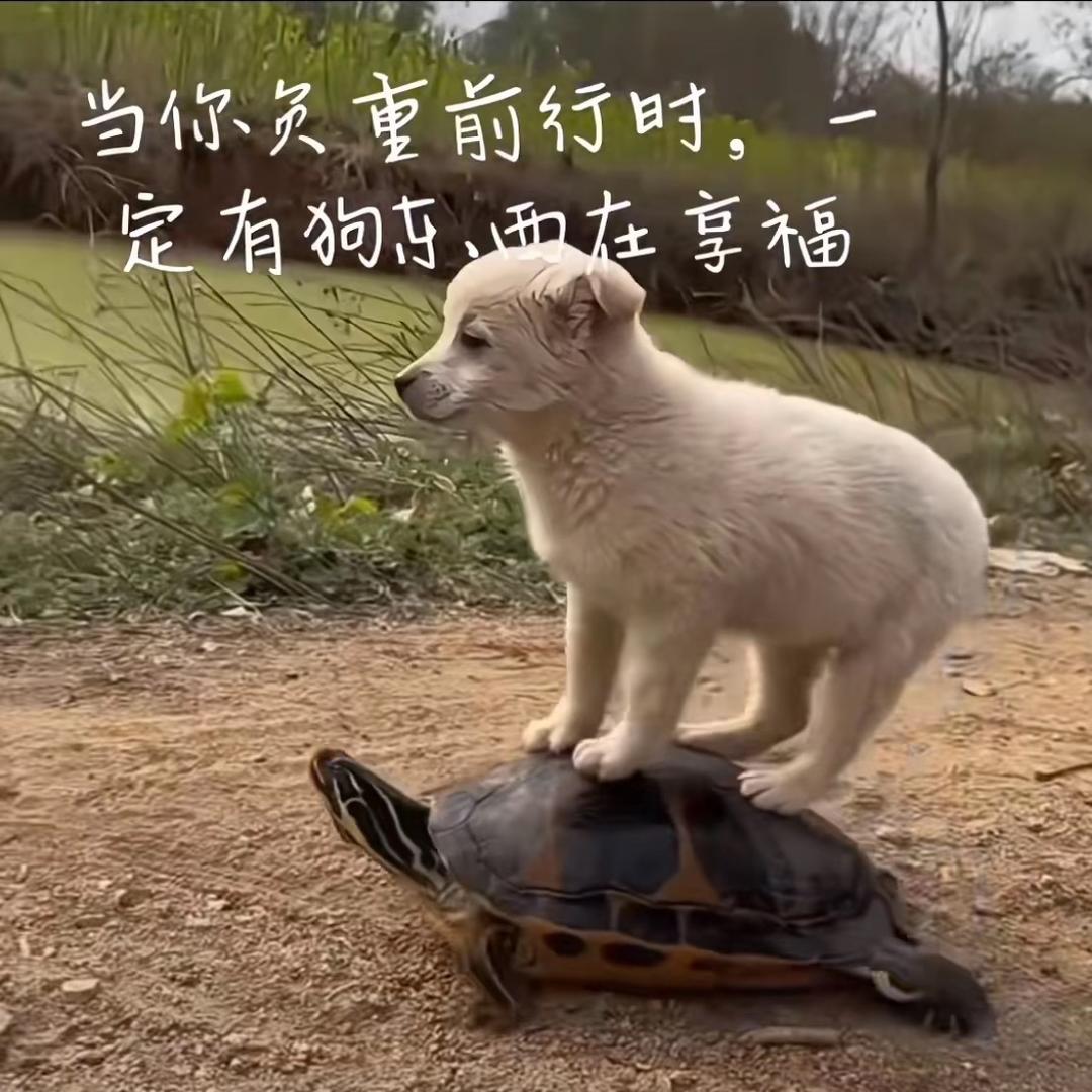今天是个好天气