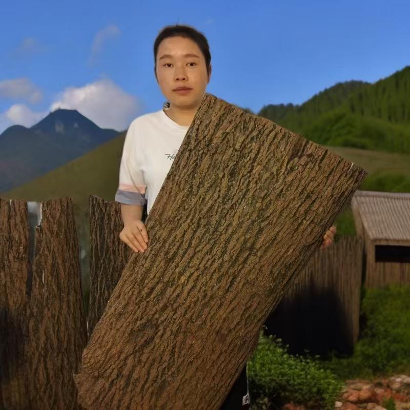 贵州深山杜仲