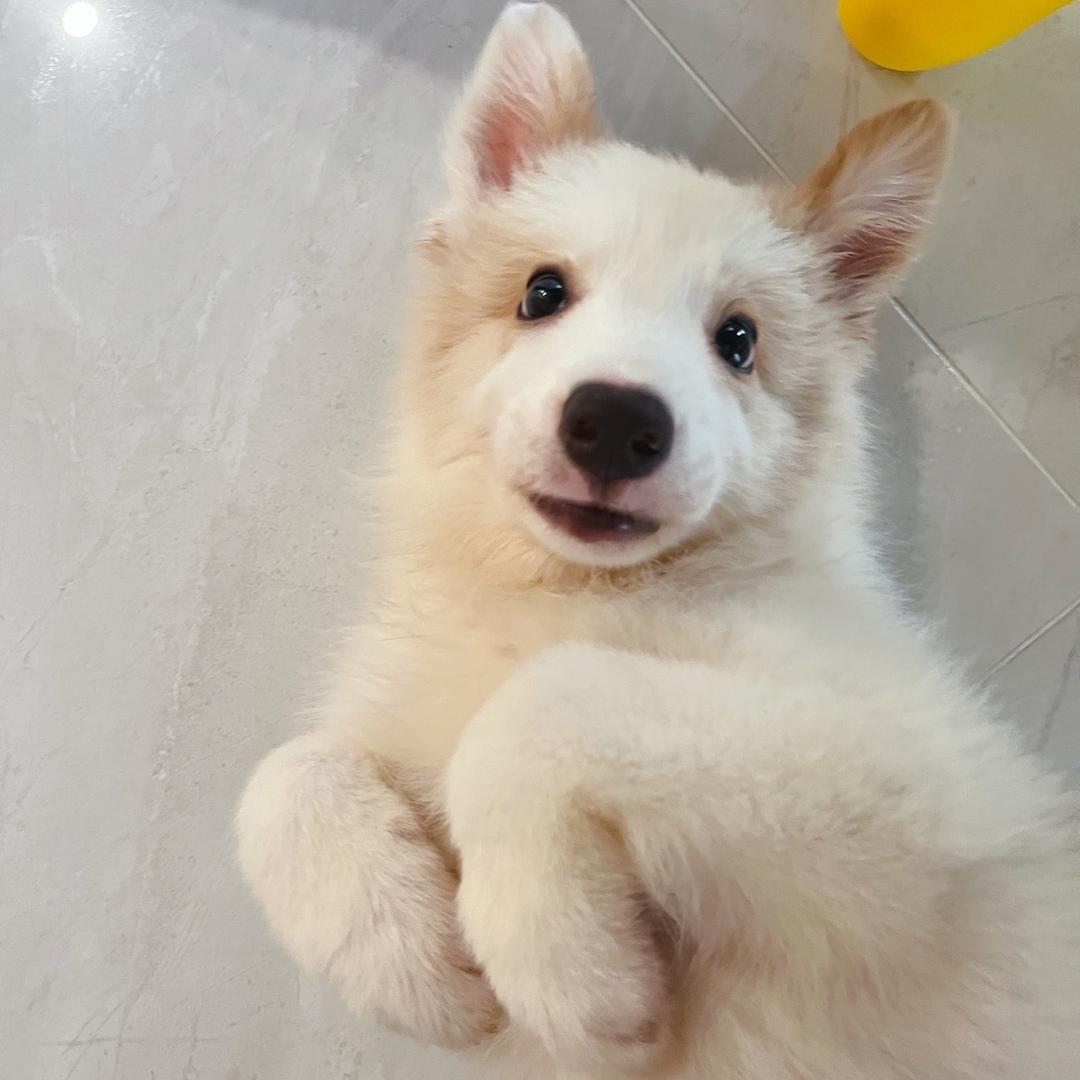 很幸运有Lucky～