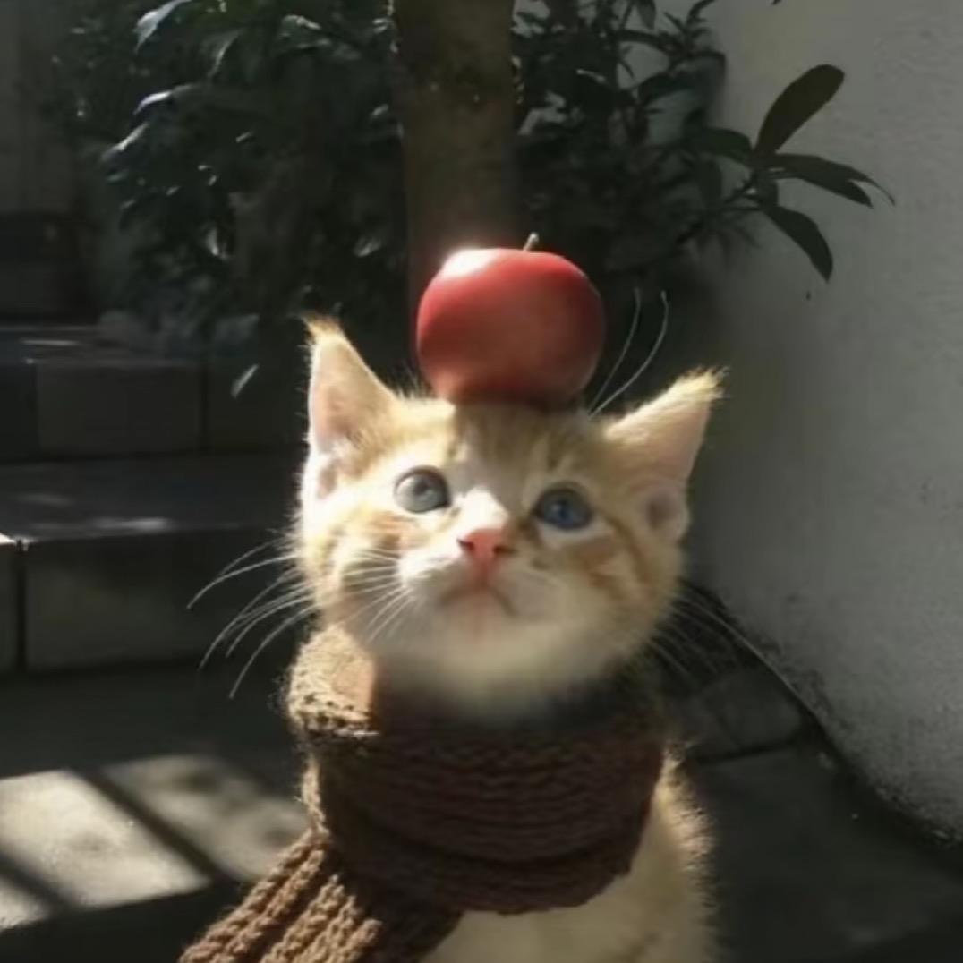 riki