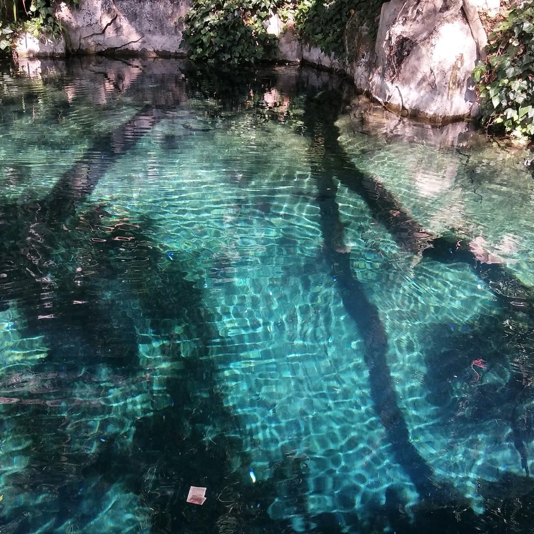 好了伤疤忘了痛