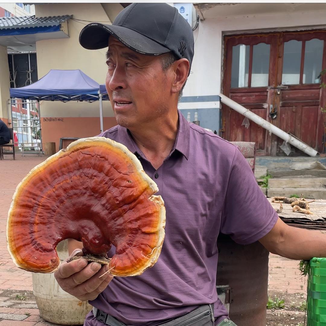 䯫呍嶋䲚