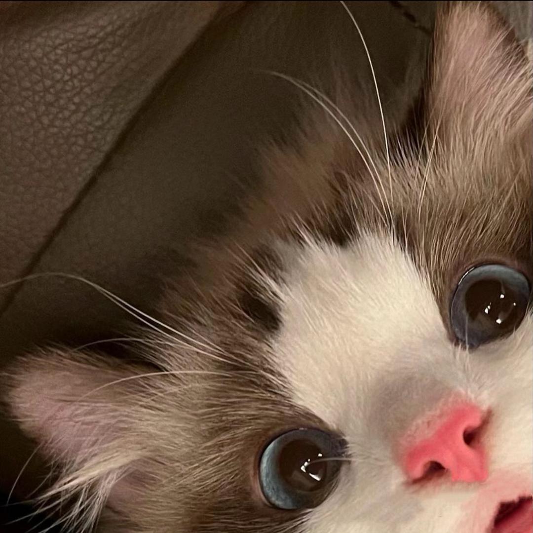 2uu