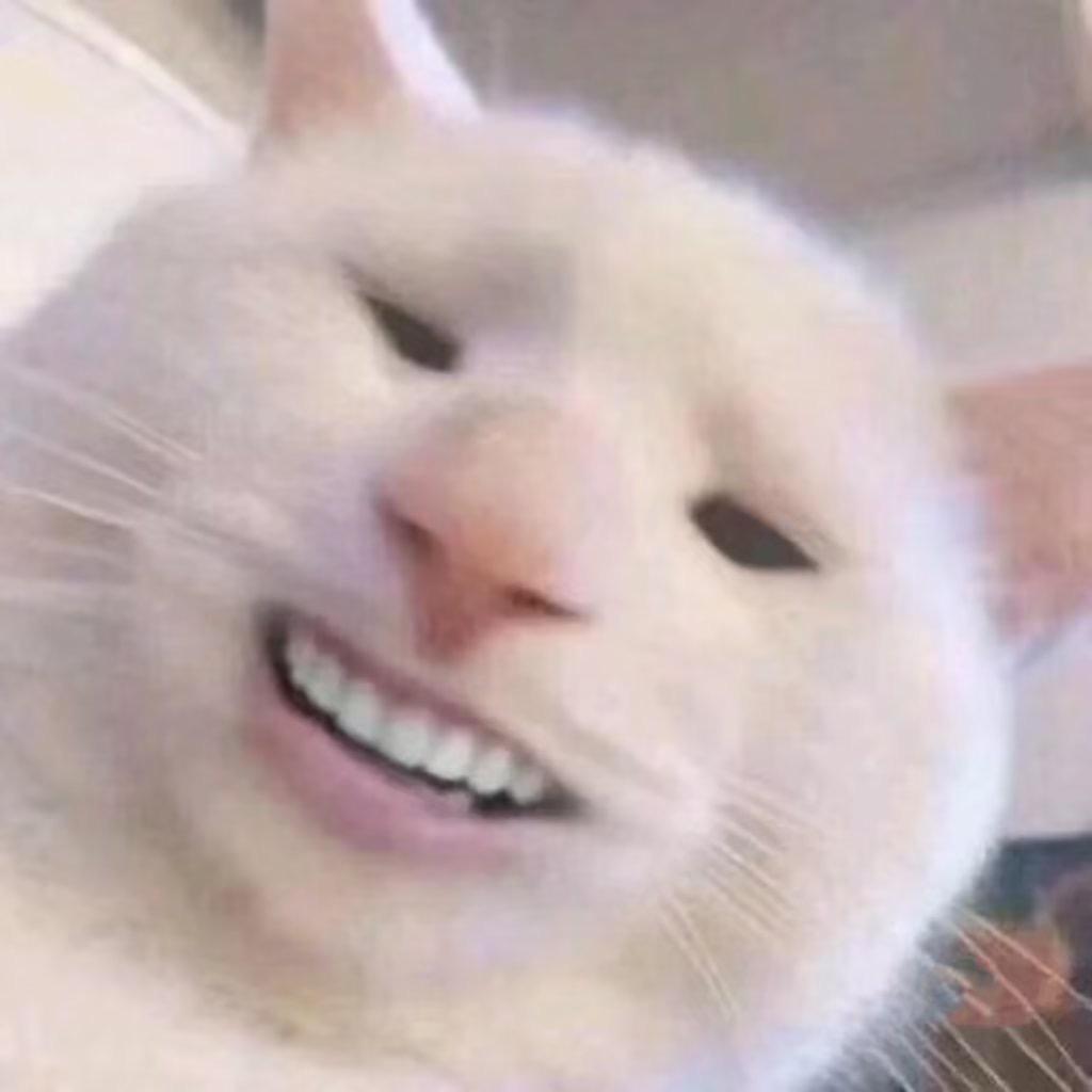 突 突