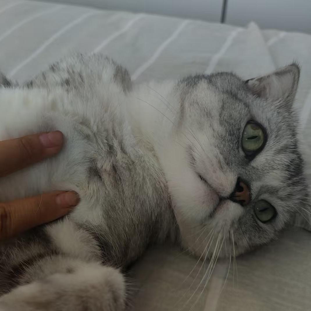 溏心蛋
