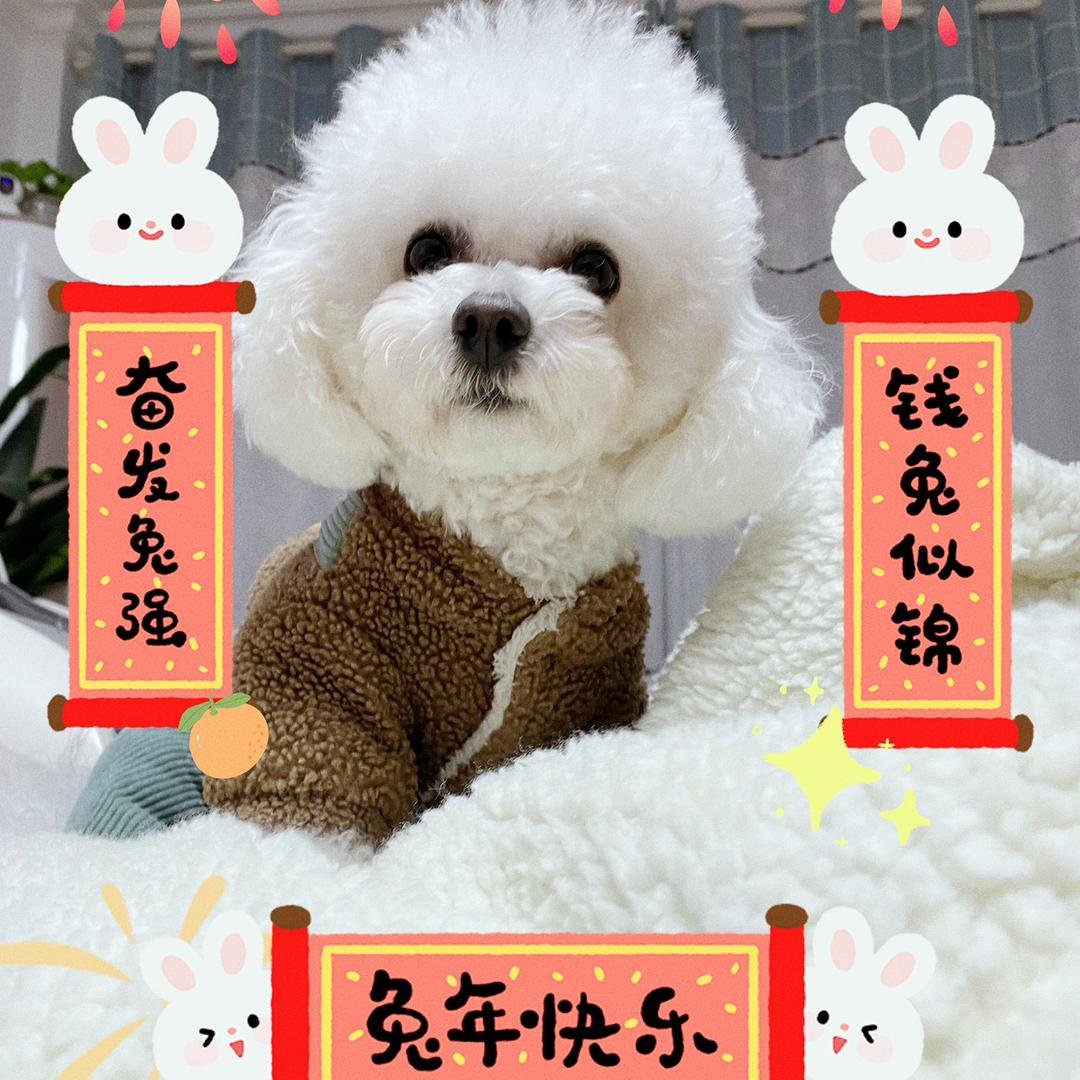 丰色青开