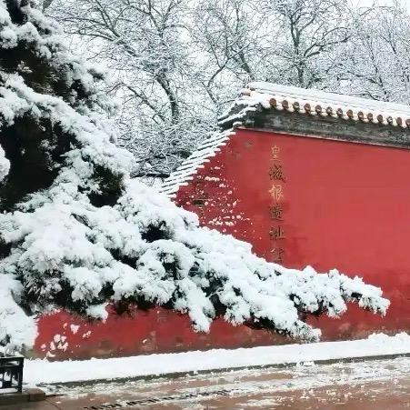 旺仔小人儿