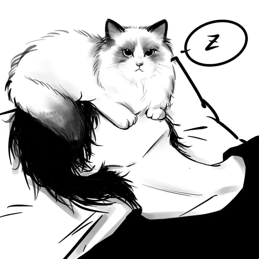 睡眠羊💤
