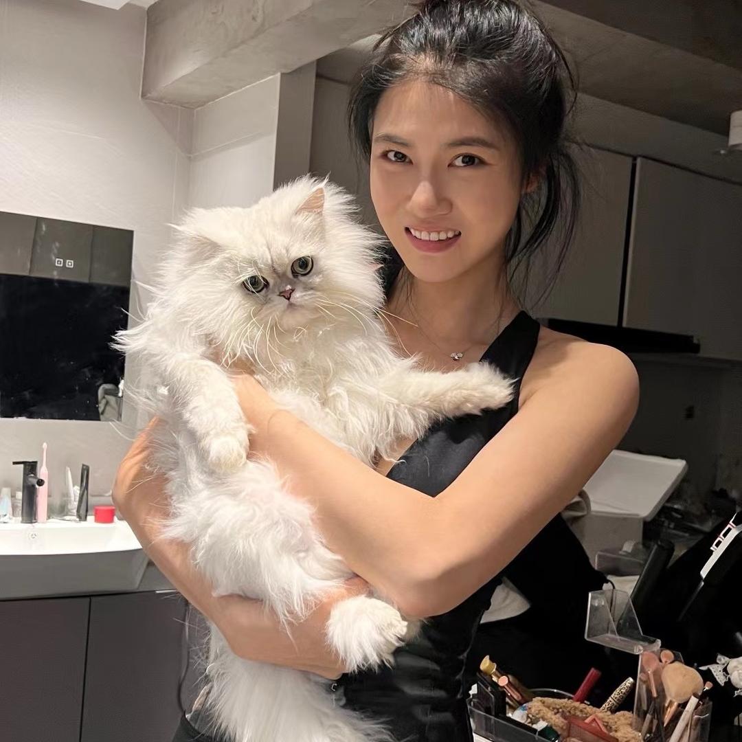 芯含传媒（林婷很努力）