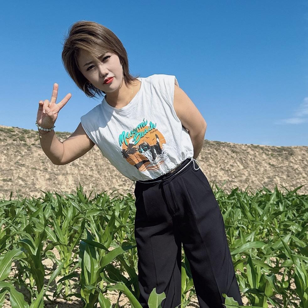 西北燕子