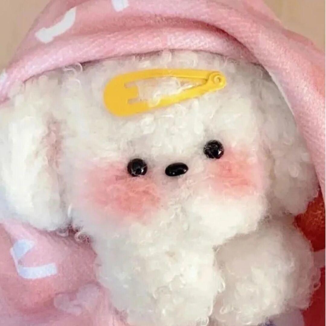 小饼干子