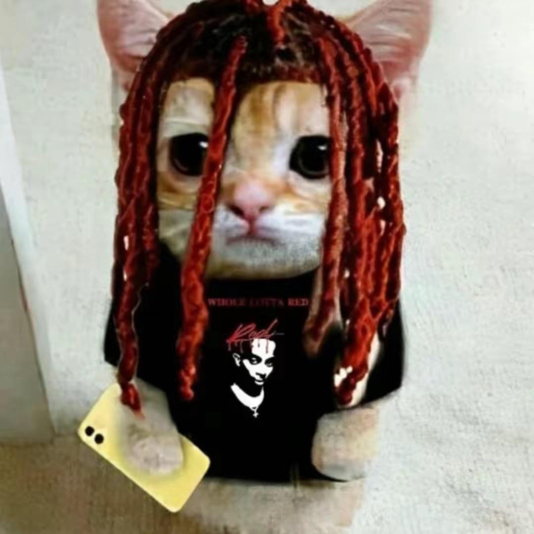 AAA比基尼批发马哥