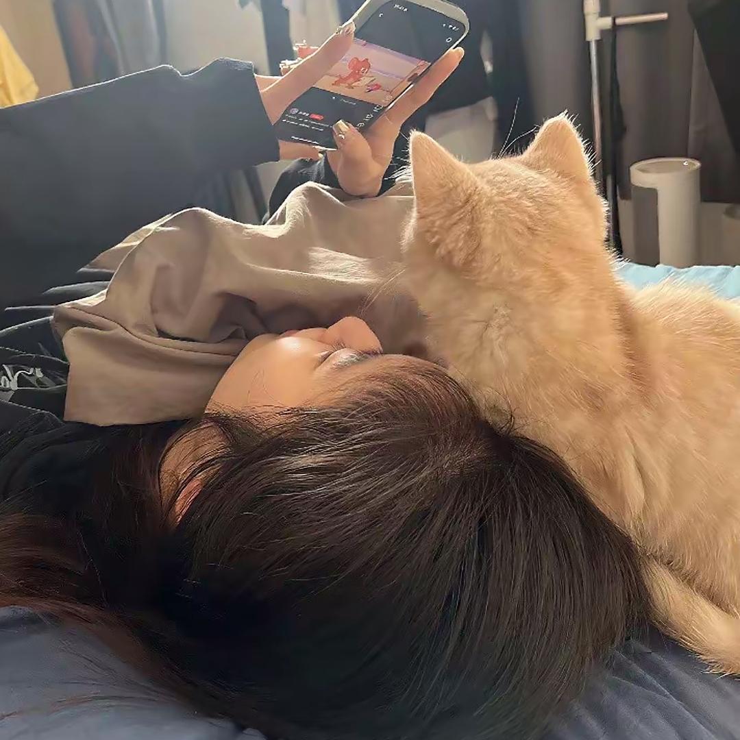 🐾