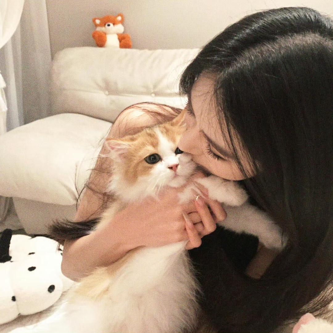 手机没电就睡觉