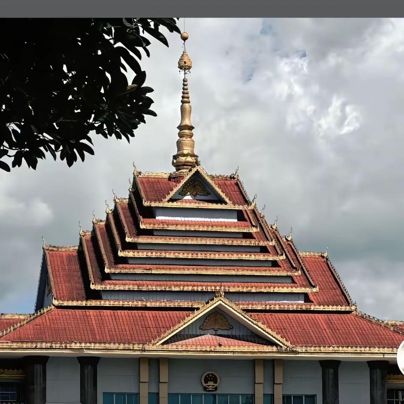 东南亚龙弟外