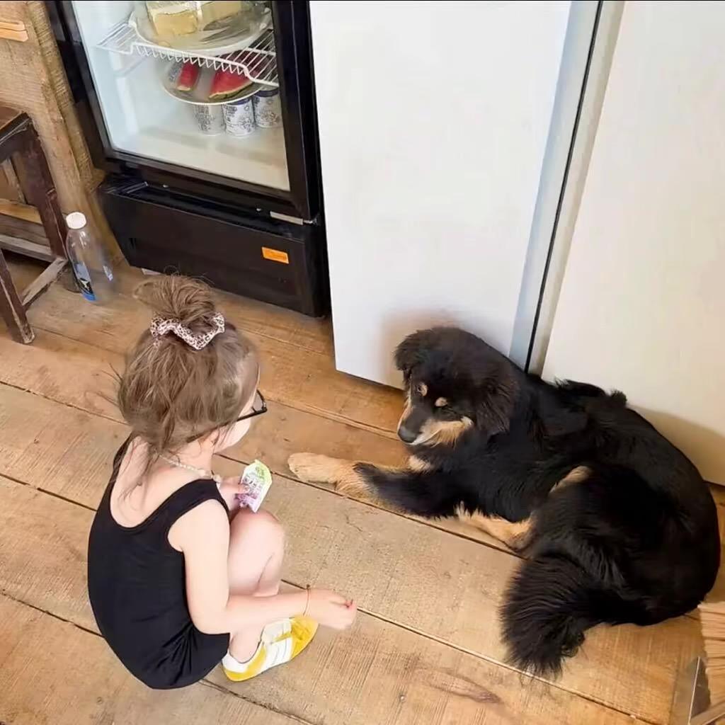 二 十