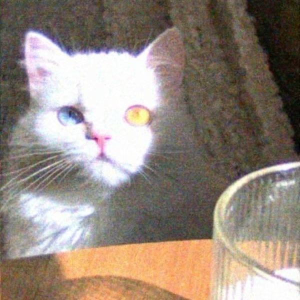 匀匀匀