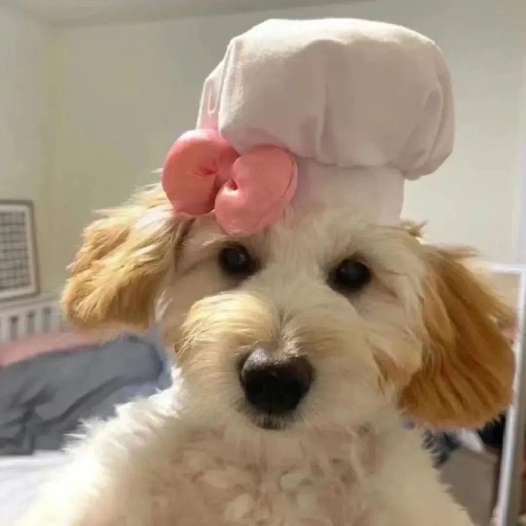 我系sookie😶🌫️