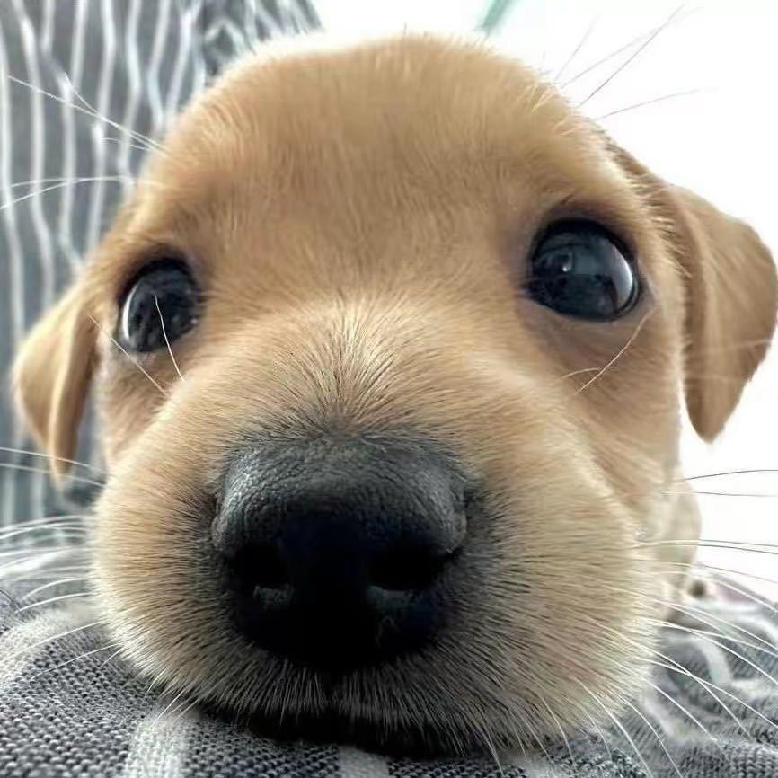 oooo