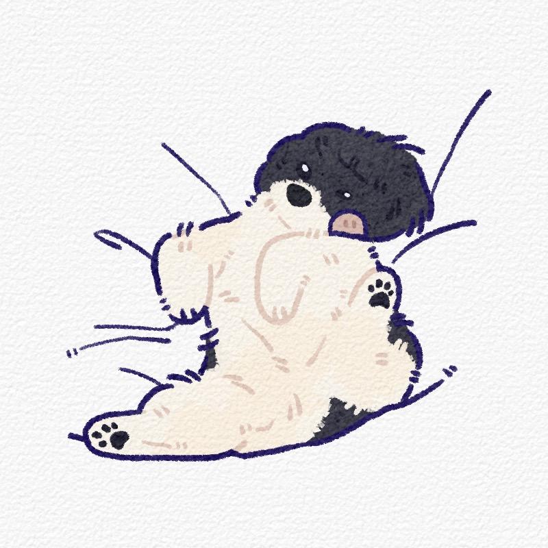 白饼干的服装店