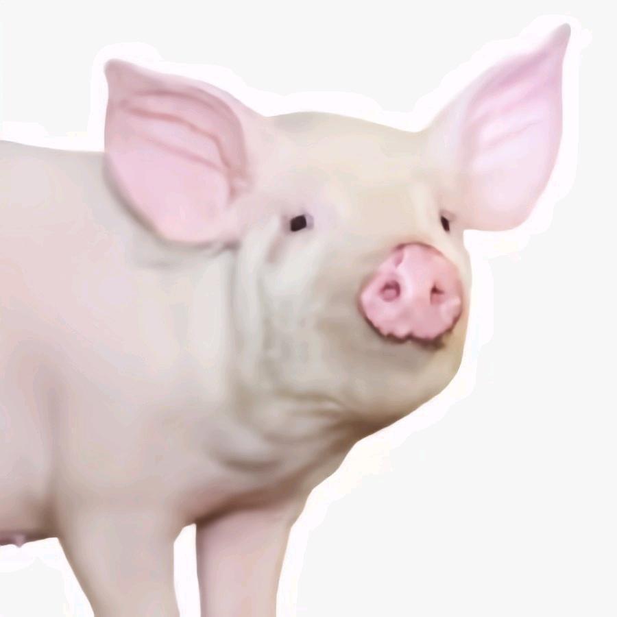 一次吃八碗-