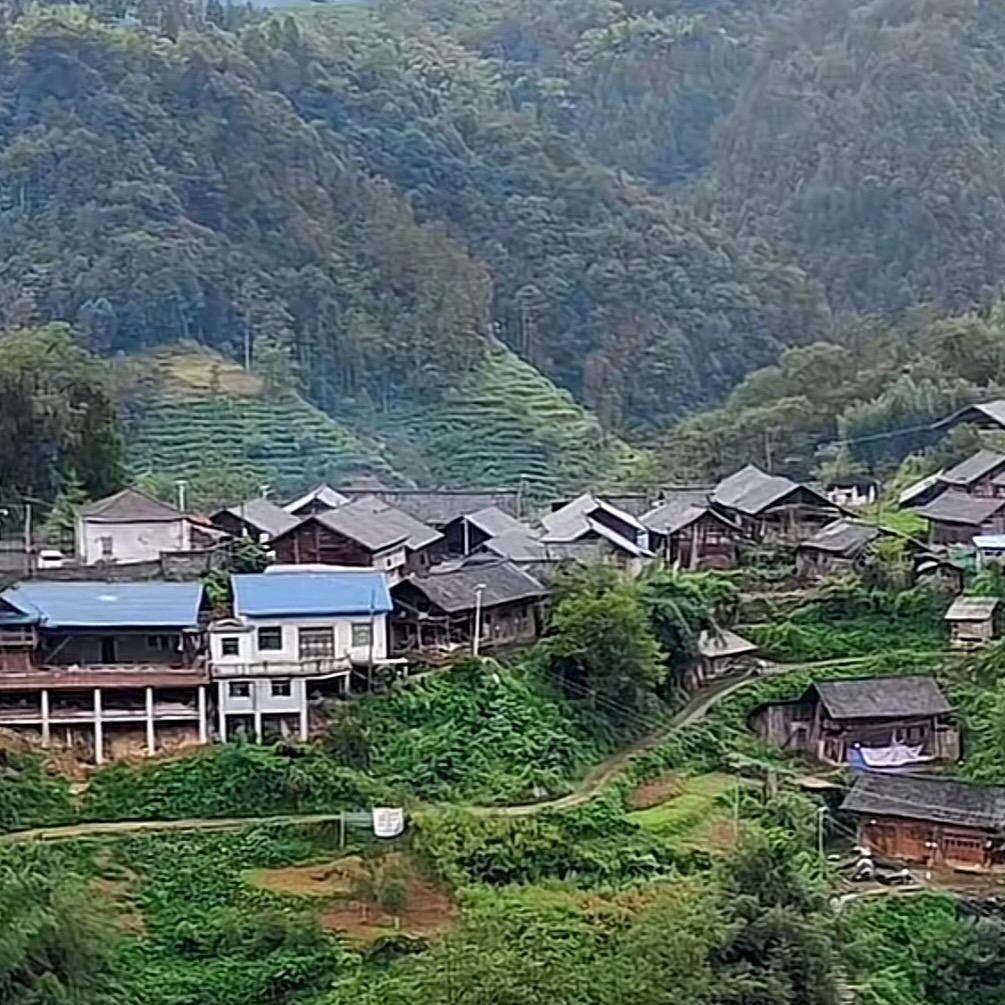 己羊良品