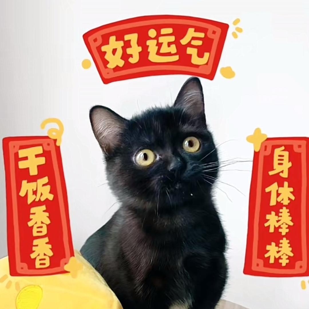 怡然自得.
