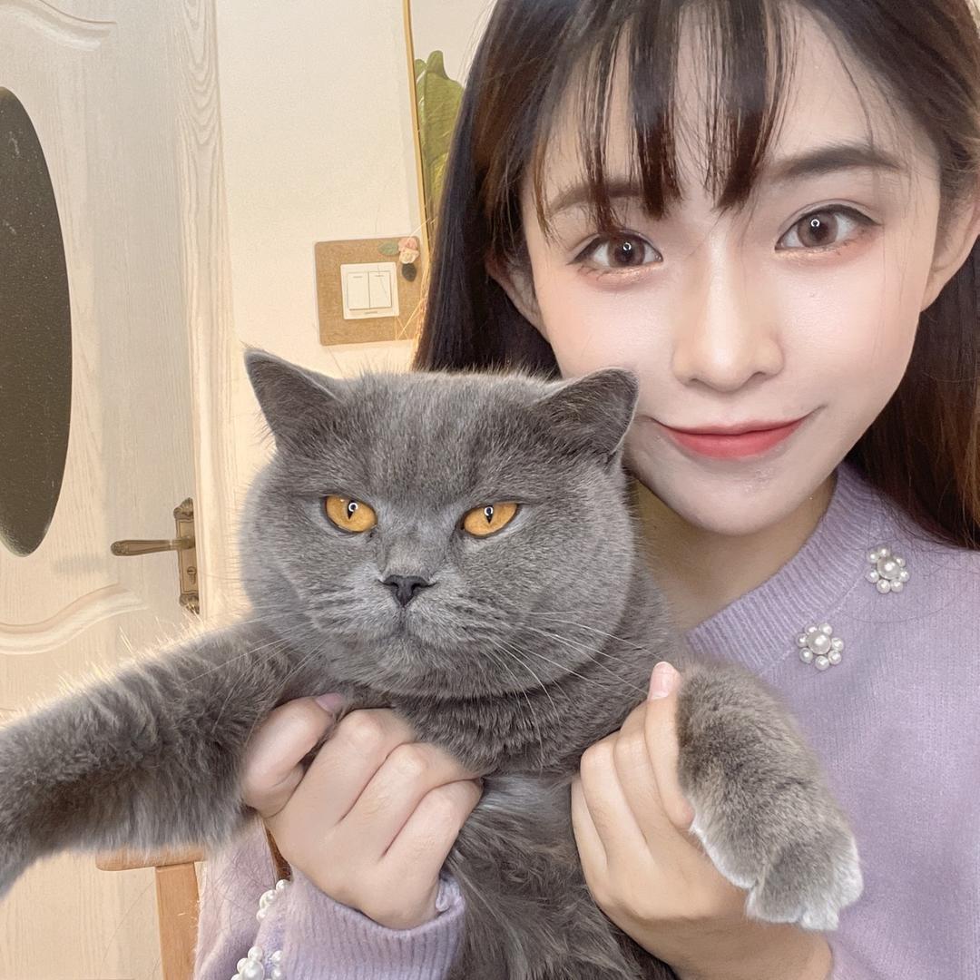 小晴的家电攻略