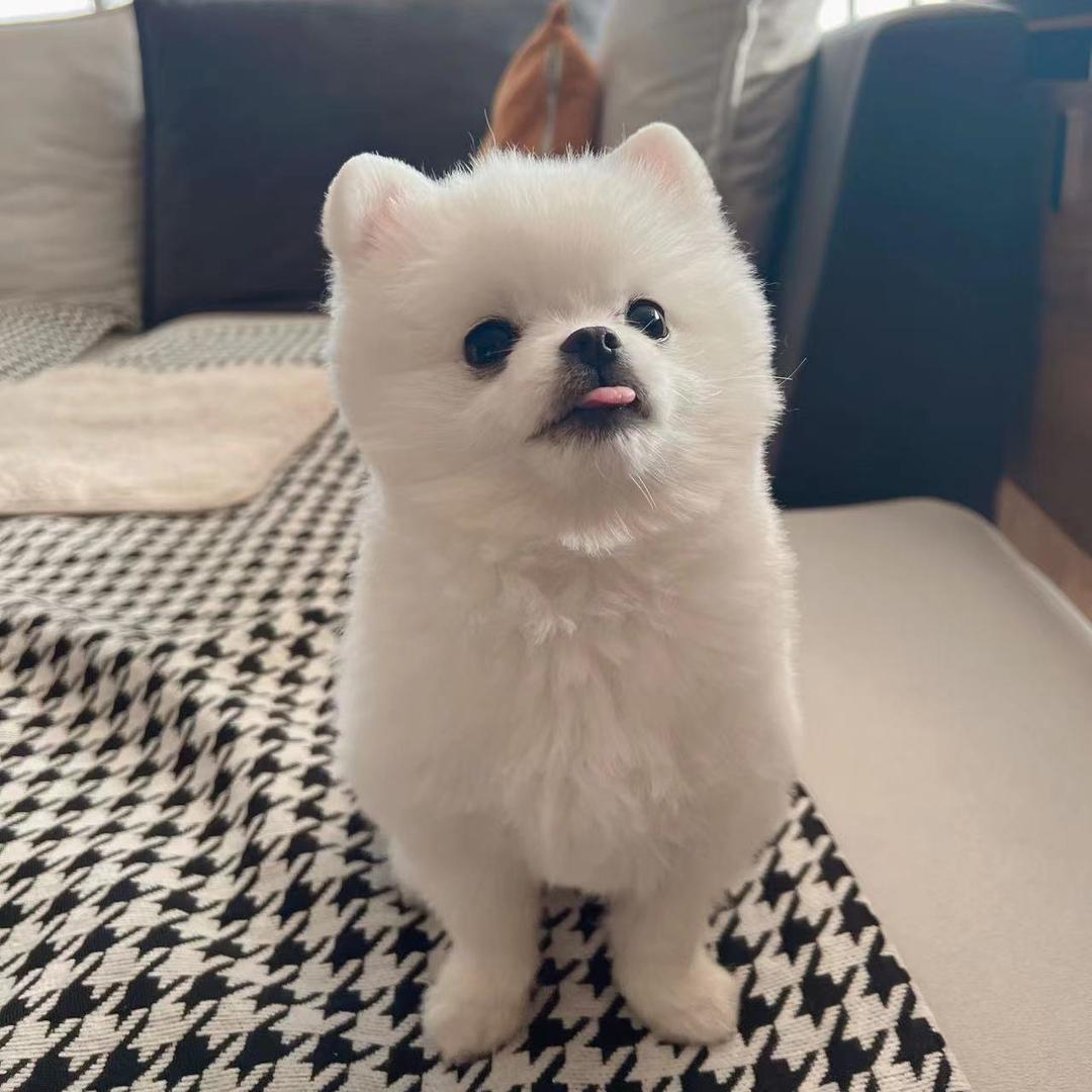 原来你叫弟弟