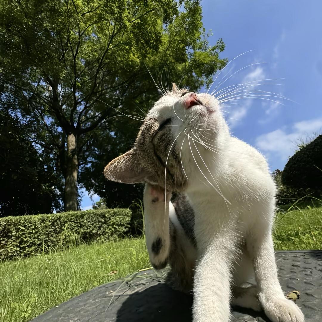 1111