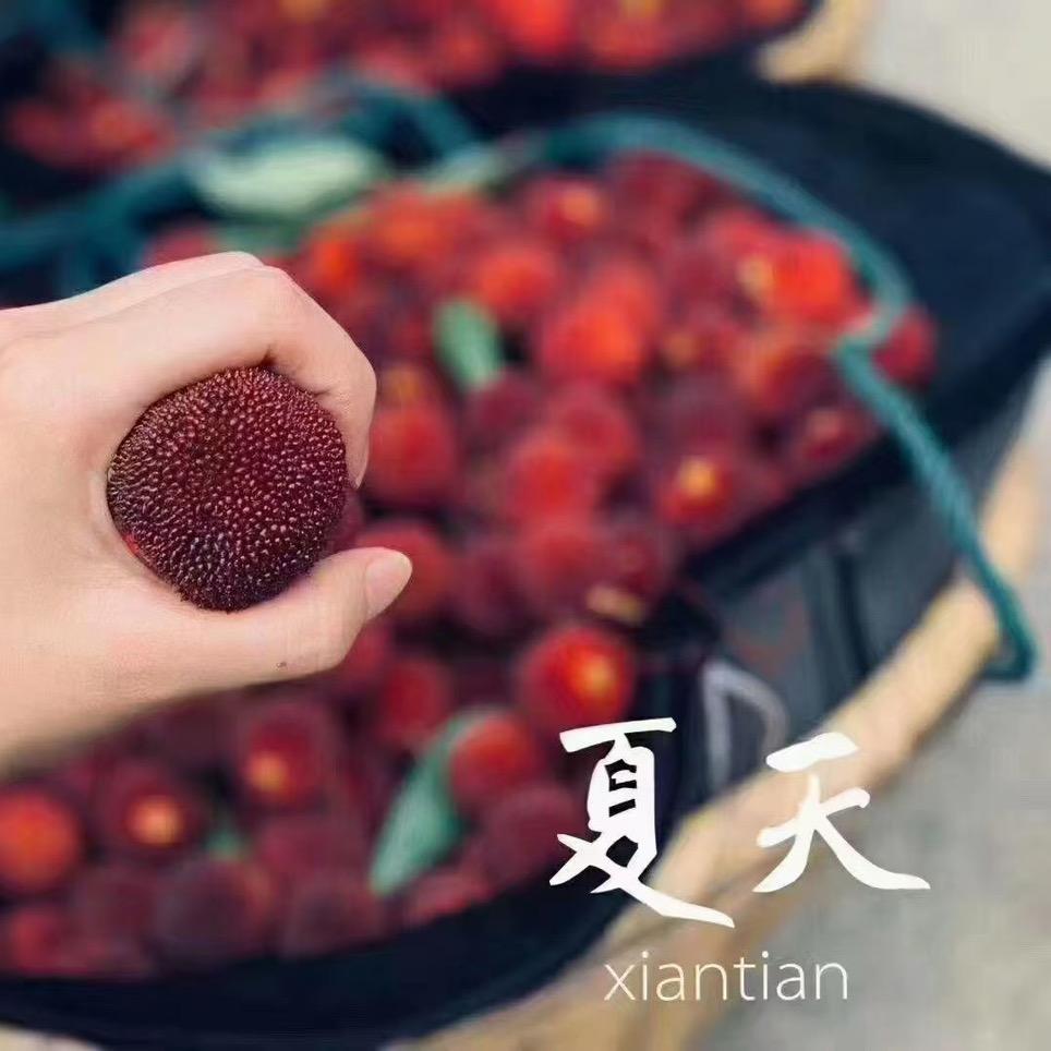 临海 小杨
