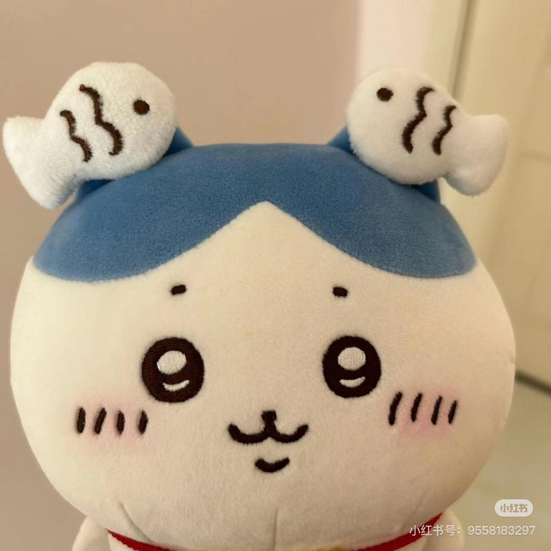 小丸子◉‿◉