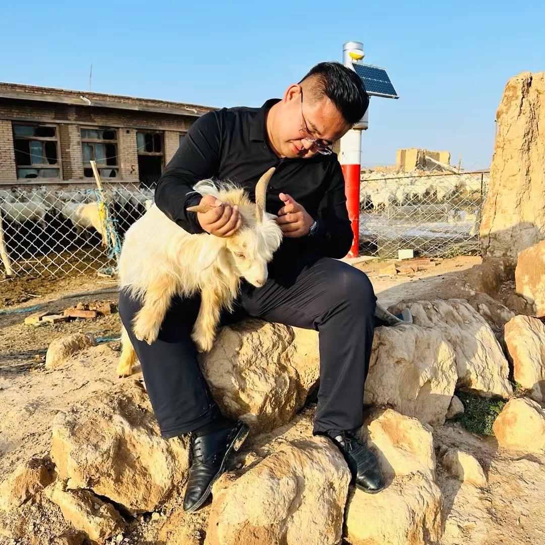 我在村里有只羊