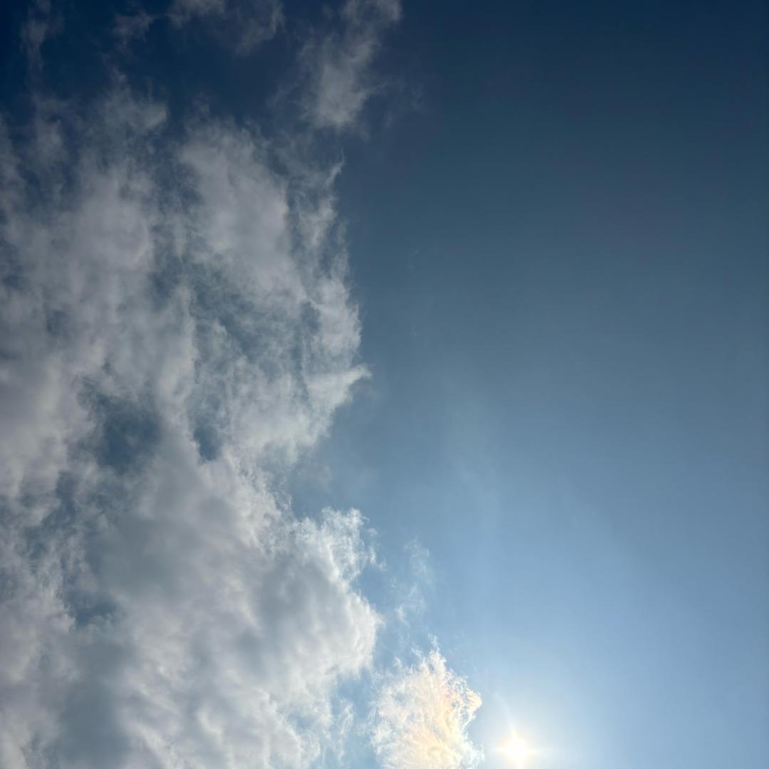拾忆桃花未然