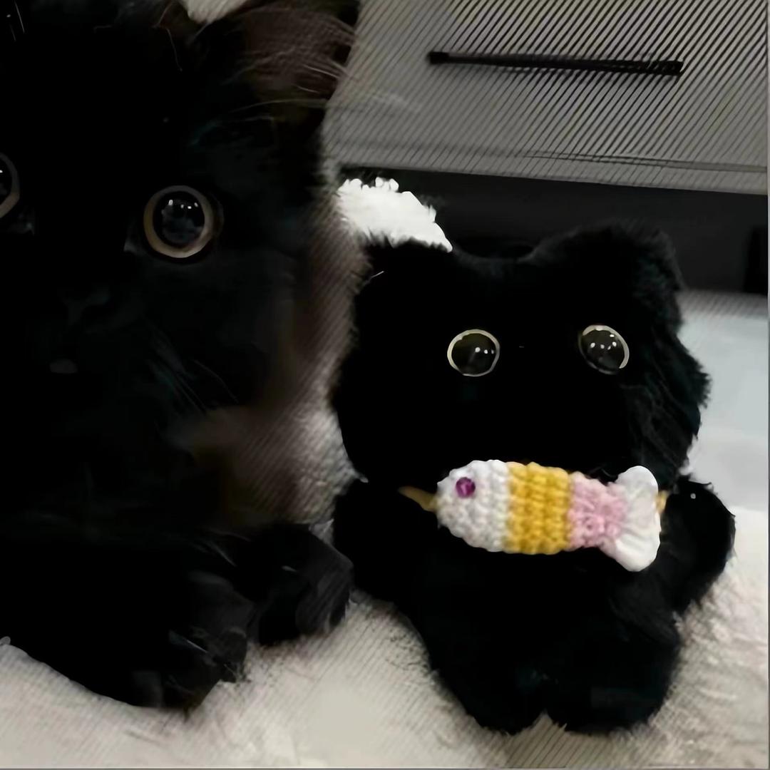 许愿-