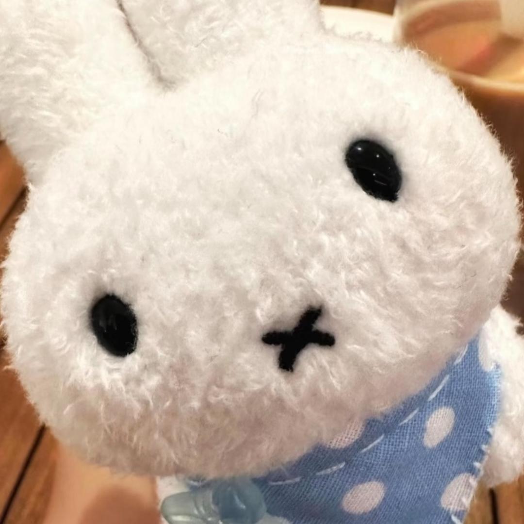 苹什猫