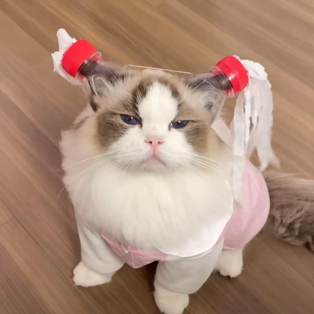 辣条爆辣嘶哈嘶哈❤️