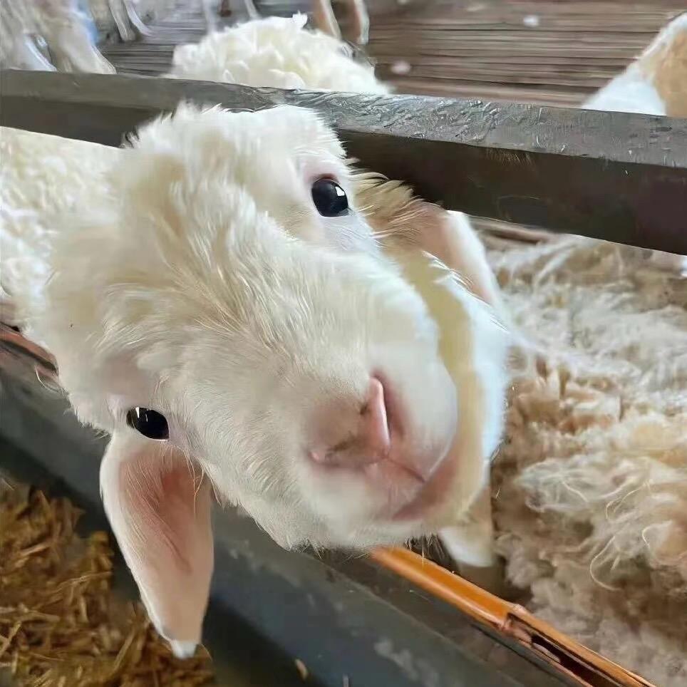 你怎么老是说我不好你又有多好