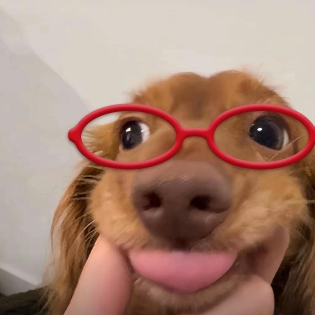 阿离.