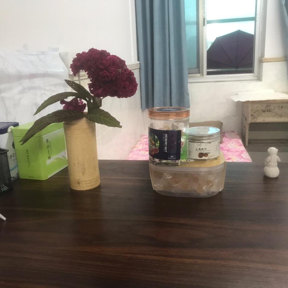 爱音乐的数学老师