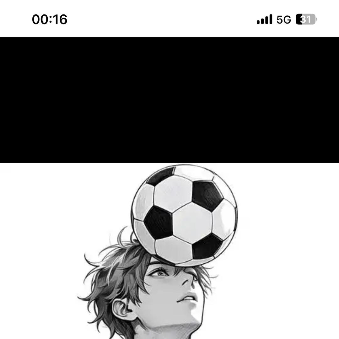 陈导观点