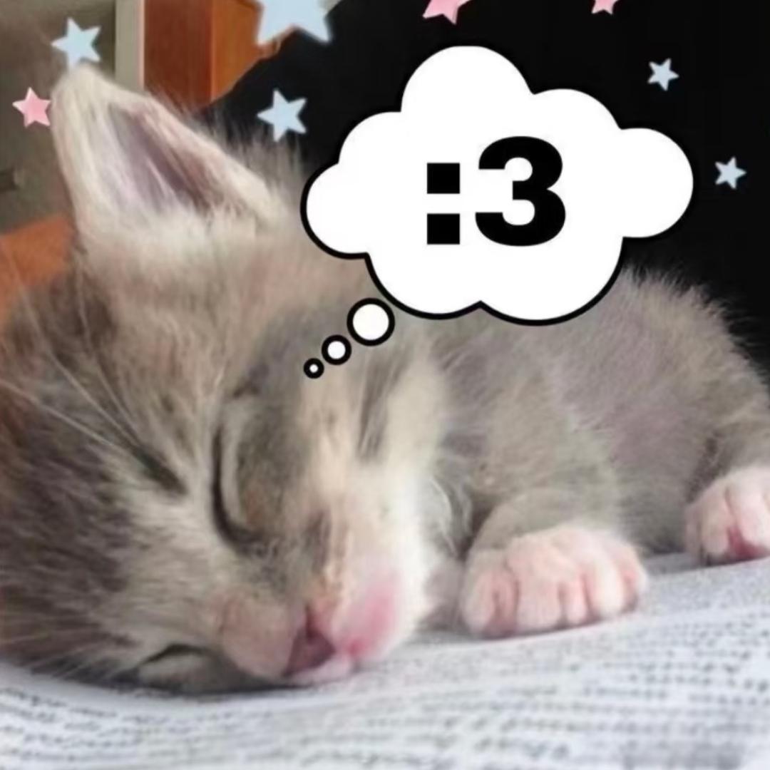 貓變成天使來到我的身邊