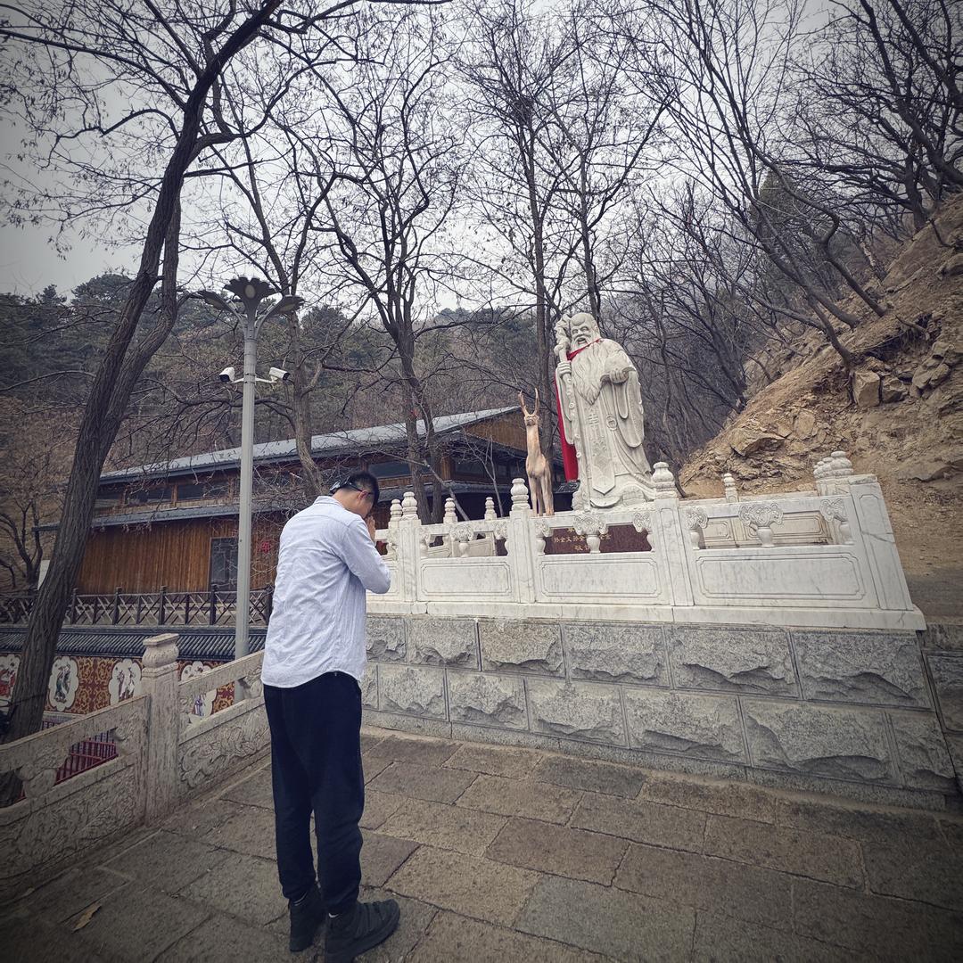 小高个不高