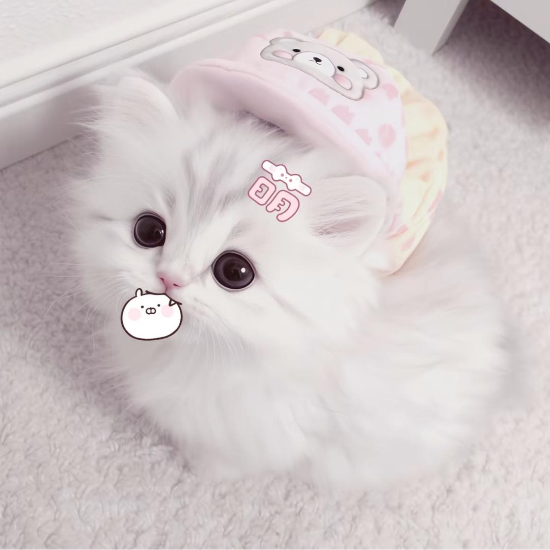 小凛