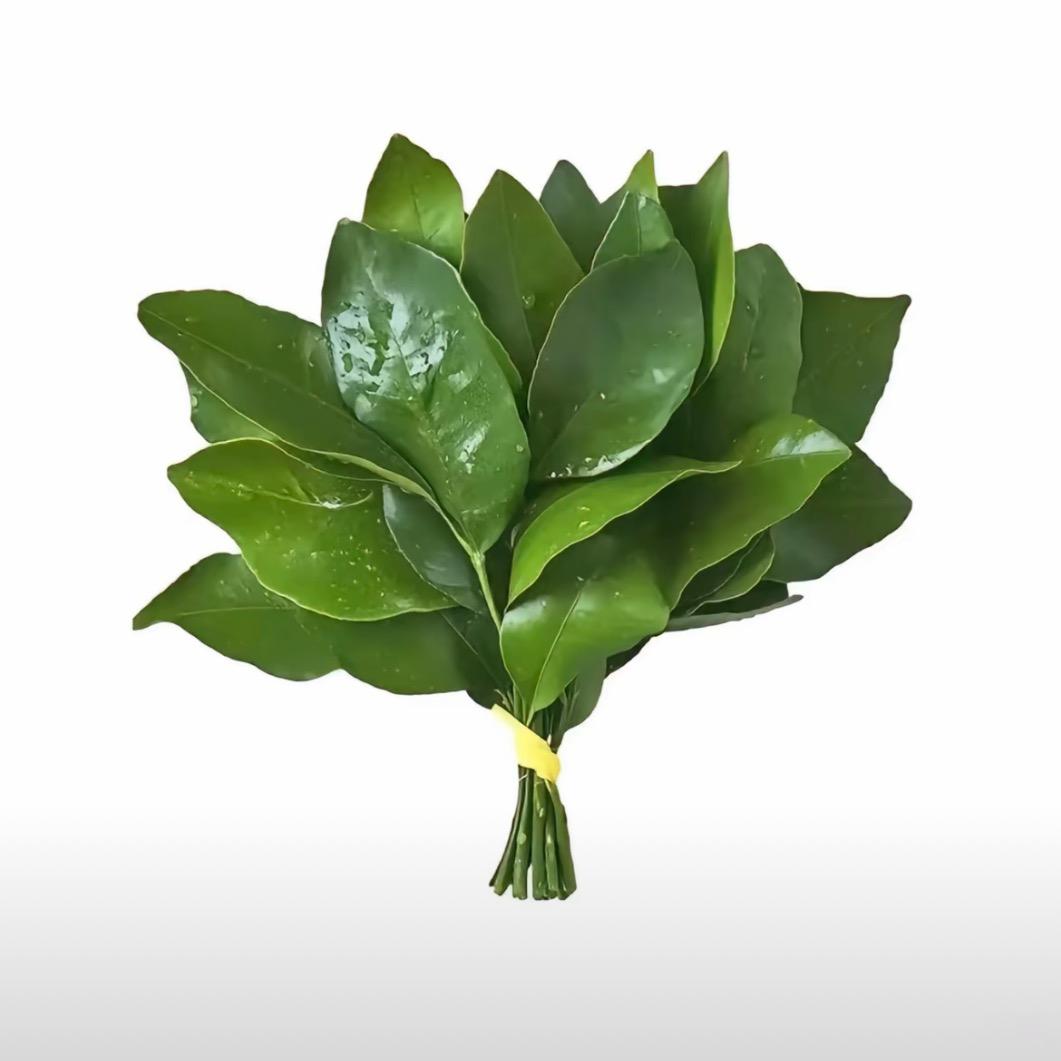 - Koi
