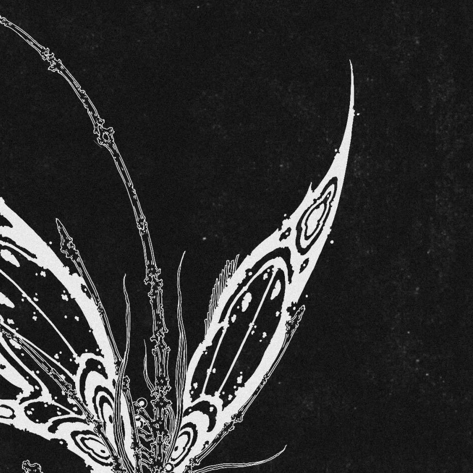 二蛋瓶子（海娜版）🕷️